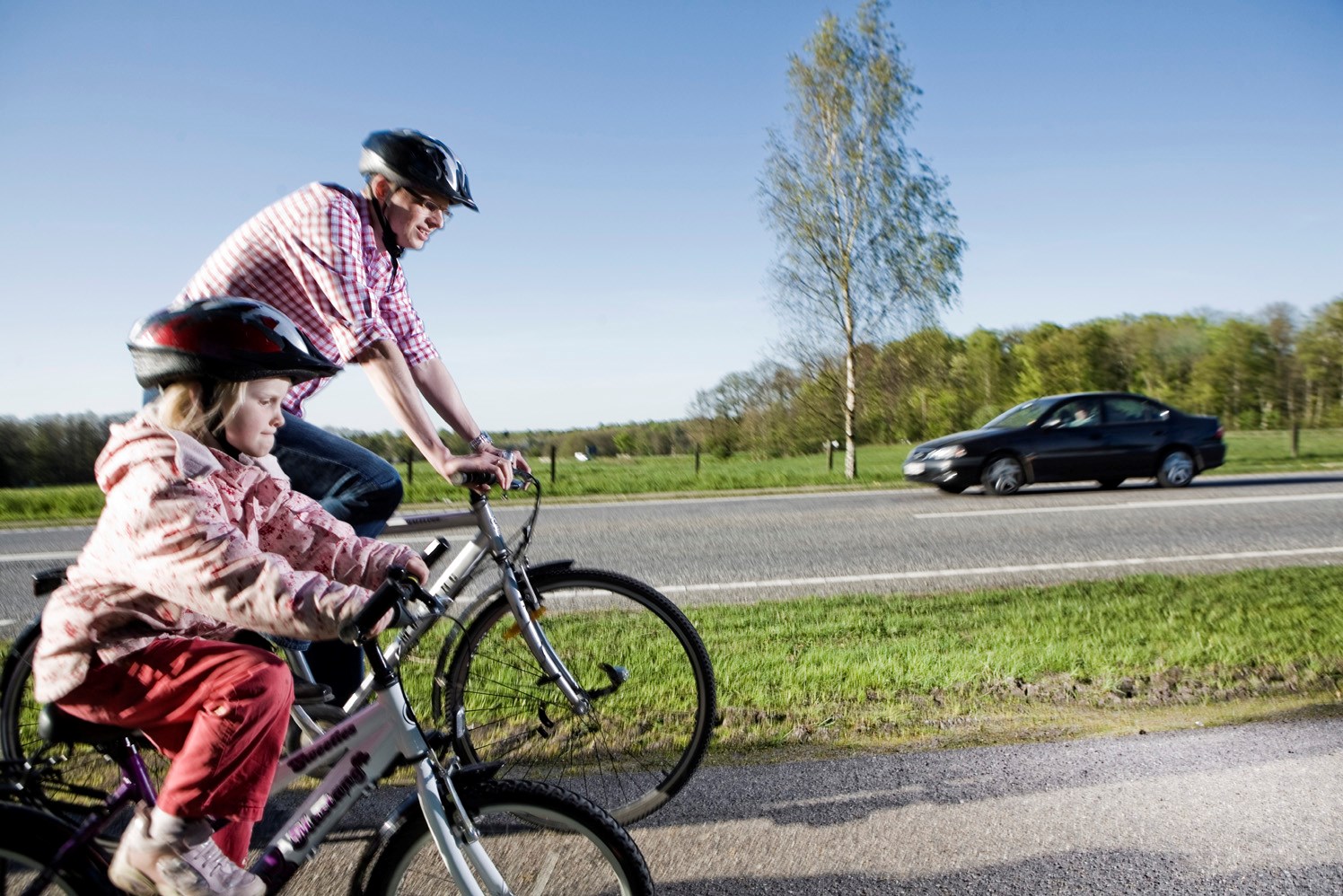 Nyt Råd Skal Fremme Viden Om Cyklisme I Danmark